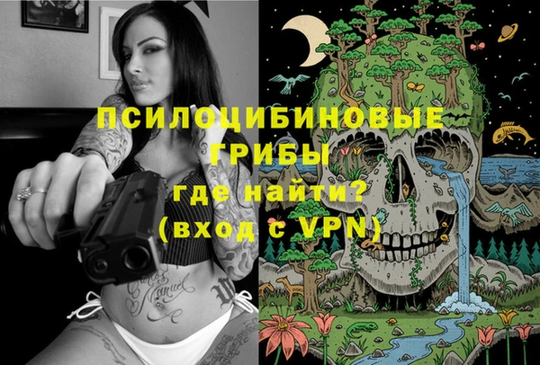 стафф Богородицк