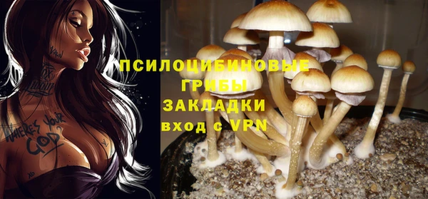 Альфа ПВП Белоозёрский