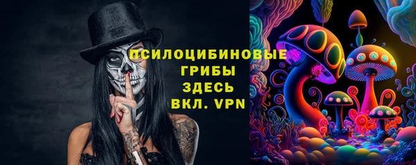 ECSTASY Белокуриха