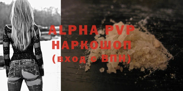 ECSTASY Белокуриха