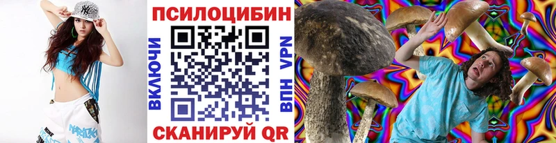 Псилоцибиновые грибы мицелий  Мценск 